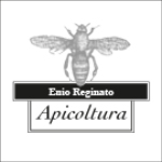 archivio api