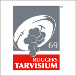 archivio tarvisium