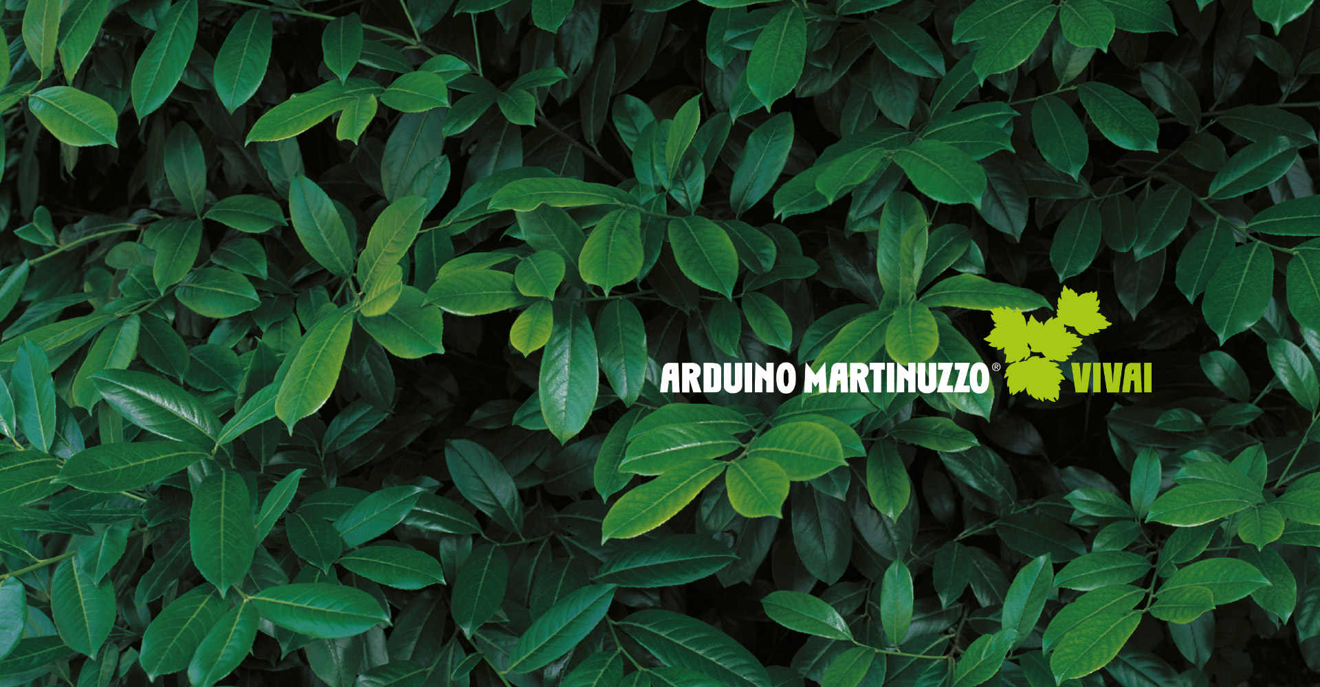 martinuzzo home